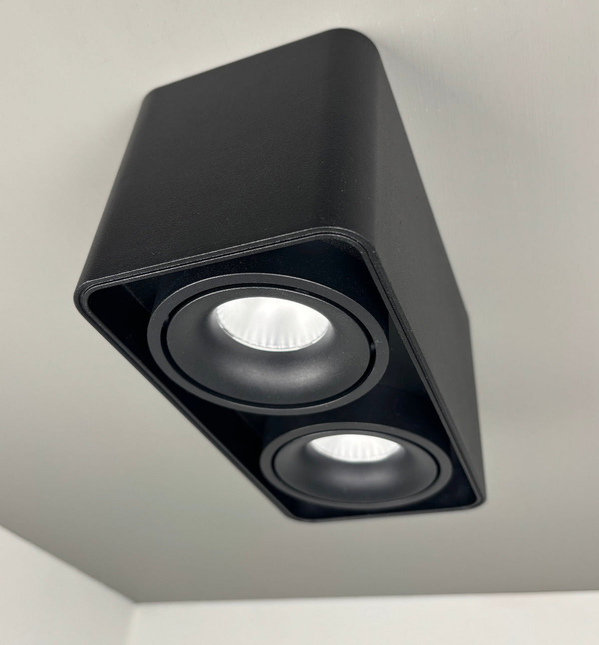 LED-Deckenstrahler, dreh- und neigbar, schwarz, 2flg. 16W