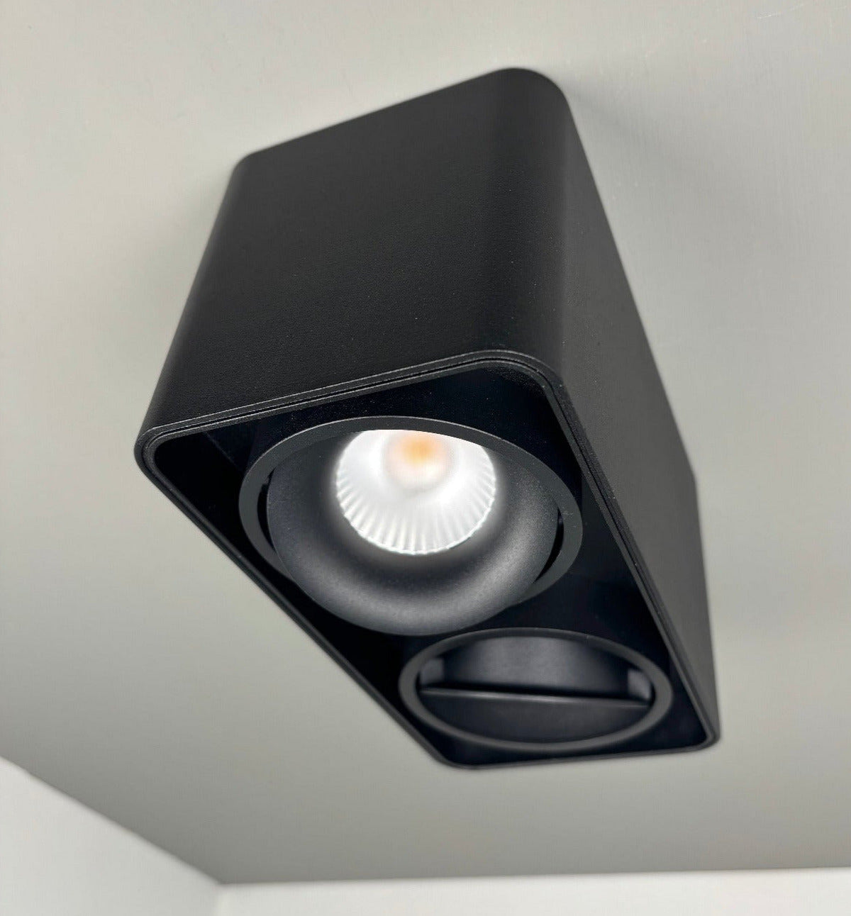 LED-Deckenstrahler, dreh- und neigbar, schwarz, 2flg. 16W